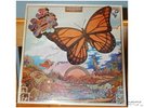 A PASSING FANCY S/T  PSYCH/GARAGE LP