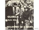 SHADOWS OF KNIGHT-RARE SWEDISH 45w/PIC SLEEVE