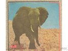 Foodbrain-Social Gathering Jap psych prog lp