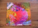LITTER 100 $ fine orig US psych LP