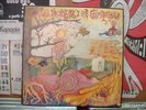 PAU RIBA- JO, LA DONYA I EL GRIPAU PSYCH FOLK