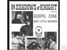 PSYCH - Shadows of Knight - Bad Little Woman