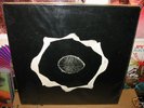 prog psych LP: Epidermis - Genius of original