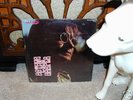Psych LP-Arthur Lee Harper-Love Is The Revolution