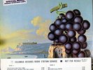 +MOBY GRAPE, Wow, RARE MONO WLP LP