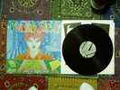 POINTED STICKS-Perfect Youth LP KBD Punk hardcore sxe