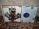 MAPLE OAK Maple Oak 1971 1st Press STUNNING