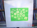 PERFORMING FERRET BAND LP UK DIY H2D messthetics