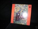 rare psych LP - The Grey Wizard Am I ORIGINAL PRESSING