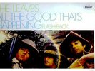 LEAVES ALL THE GOOD  '67 PSYCH/GARAGE MONO LP
