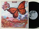 A PASSING FANCY 1968 GARAGE PUNK POP PSYCH LP CANADA