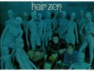 ZEN - HAIR ORIG. RARE DUTCH PSYCH BEAT GARAGE '68 NM/NM