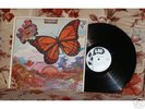 A Passing Fancy - Self Titled LP on Boo Records