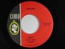 ORLONS (northern 45) ENVY CAMEO