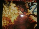THE PETARDS - PET ARTS ++ TOP M--,M- BEAT PROG PSYCH ++