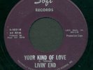 LIVIN' END: SCARCE KS. 60's FUZZ GARAGE 45 (SOFT)
