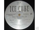Ice Cube You Can Do It  12