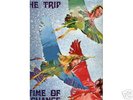 TRIP TIME OF CHANGE RARE ITALIAN PSYCH PROG ORIGINAL LP