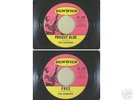 THE BANSHEES PROJECT BLUE DUNWICH MONSTER GARAGE 45
