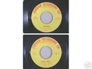 THE TRAVEL AGENCY JAILBAIT ZORDAN   GARAGE PUNK 45