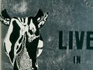 PINK FLOYD - LIVE IN ROTTERDAM ( RARE LIVE ALBUM)