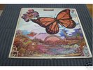 A Passing Fancy rare Canadian original psych lp
