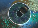 Pink Floyd 4 Lp Box Set PULSE RARE w/ BOOK + OOP