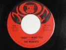 MOMENTS (northern 45) BABY I WANT YOU HOG