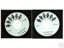 THE MUSSIES - MI garage doublesider Fenton label