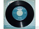 The Deverons ( Burton Cummings First Group) 45