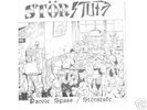 Störstufe EP, picture sleeve rare skrewdriver style Oi
