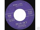 Killer 1950s rockabilly 45 - ROCKY DAVIS - Blue Sky