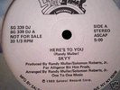 HERE'S TO YOU SKYY WL PROMO PARADISE GARAGE LEVAN