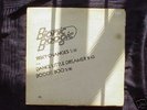 BIONIC BOOGIE RISKY CHANGES 12