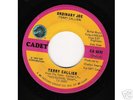  Northern-Terry Callier - Ordinary Joe - Cadet