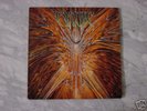 CYNIC :FOCUS LP    DEATH ATHEIST PESTILENCE ANACRUSIS