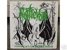 ROTTREVORE fornication in..7