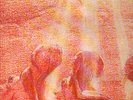 COS - Viva Boma 76 LP Belgian PROG Breaks MARC MOULIN