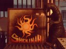  PRIVATE PSYCH/XIAN/PROG LP SHEKINAH on EDEN