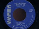 DOO WOP 45 RE-VELS-WHEN YOU COME BACK TO ME -orig CHESS