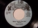 Rare Modern Soul 45 WYND CHYMES on SHAKIN' Mint-