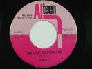 SUNDAY northern soul 45 AIN'T GOT NO PROBLEMS ALTEEN
