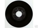 SHOTGUN EXPRESS : Curtains - freakbeat m. Rod Stewart