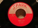 THE ROBINS 1ST PRESS SILVER TOP SPARK # 103 (MINT)