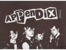 APPENDIX-LP RARE KBD FINNISH PUNK ORIGINAL 1984