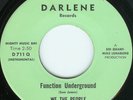 WE THE PEOPLE rare AZ northern funk DARLENE 45 ((hear))