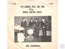 GARAGE : CARDINALS -i'm gonna tell on you- PICTURE COV.