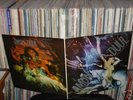 AMON DÜÜL - Psychedelic Underground *Orig.* mint=/mint-