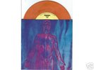 NIRVANA - RARE SUB-POP Sliver/Dive ORANGE VINYL