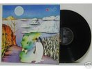 LP-MURPLE-